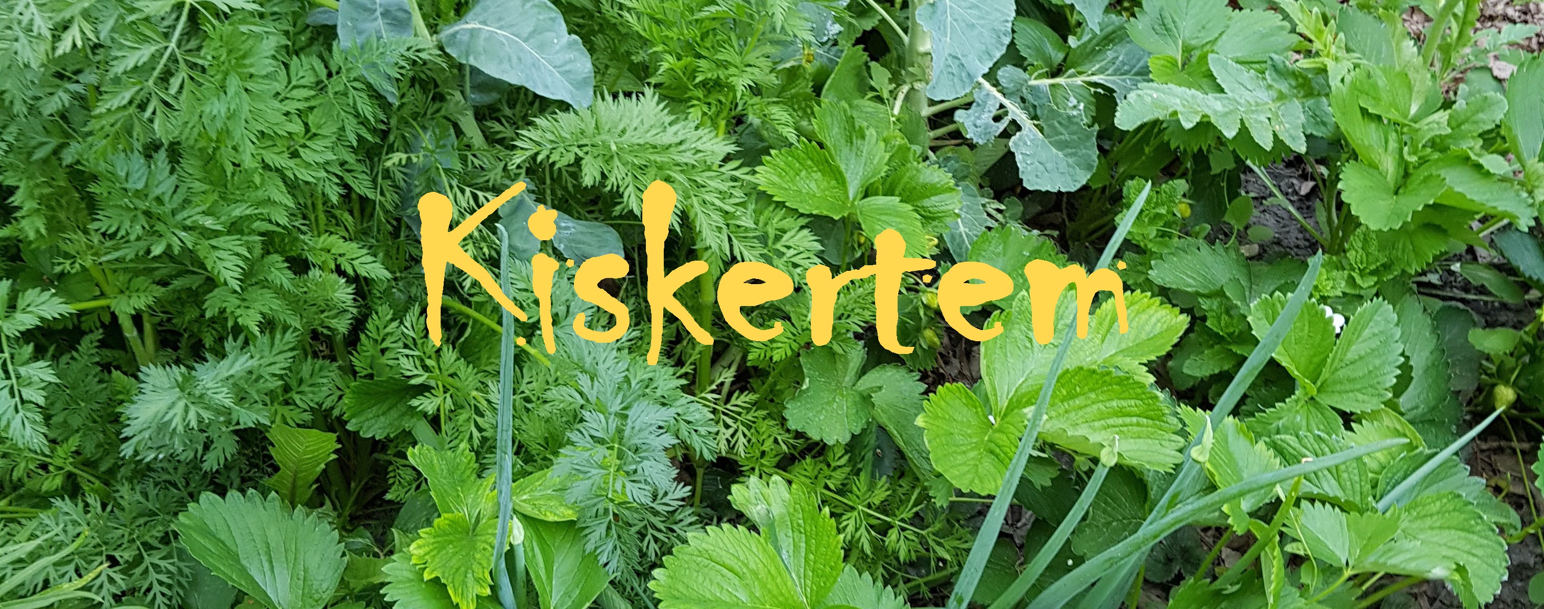 Kiskertem